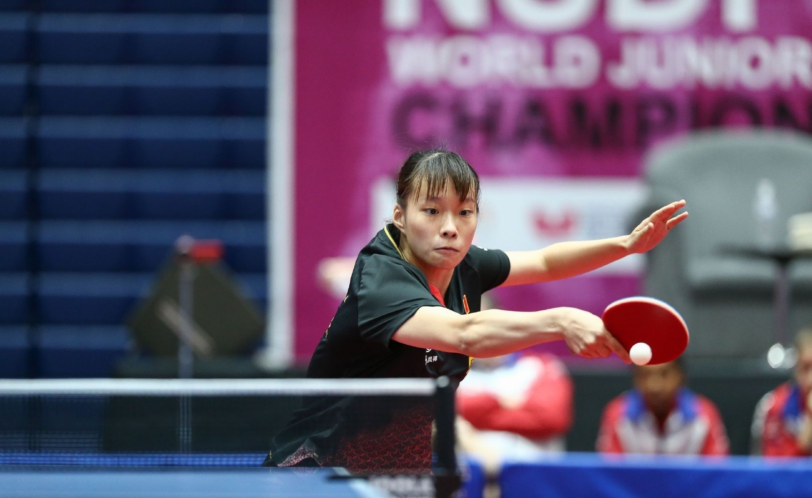 引入决策的 引入决策的